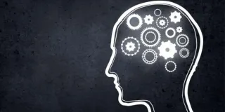 New Psychology Research Indicates That General Cognitive Ability is Lined to Reduced Emotional Responding