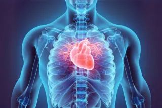 Knoxville Residents: If You Snore, You Could Be at Risk for Life-Threatening Heart Issues – Get Screened Now!