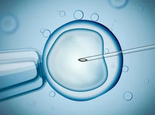 Fertility Preservation: The Ins And Outs