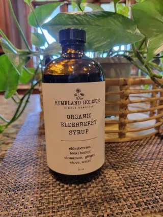 Boost Your Fall Wellness with Elderberry and Nutrition