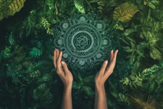 Cultural Perspectives on Nature Therapy
