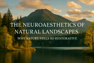 The Neuroaesthetics of Natural Landscapes: Why Nature Feels So Restorative