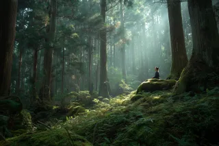Shinrin-yoku: The Origins of Forest Bathing in Japan