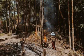 BLOG: How to Prepare for Bushfire Safety at Home