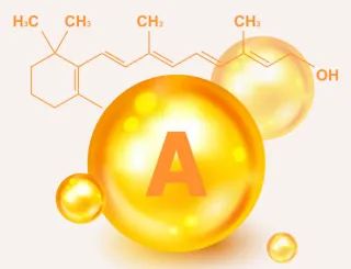 The Nutrition Fundamentals: Vitamin A