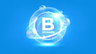 The Nutrition Fundamentals: Vitamin B