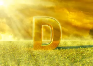 The Nutrition Fundamentals: Vitamin D