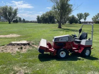 Layton Root Grinding (Utah): What’s Included, Pricing Factors, and Cleanup | Darrell’s Tree Service