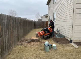 Root Grinding in Layton, UT: Remove Tree Roots Without Wrecking Your Yard | Darrell’s Tree Service