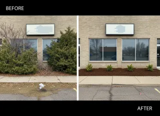 Shrub Removal in Ogden, UT: When to Remove Shrubs and What It Costs | Darrell’s Tree Service