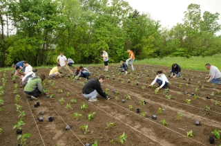 🌱Urban Roots, Big Impact: Why Indy Urban Acres Is Indy’s Most Inspiring Hidden Gem