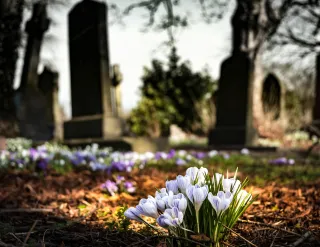 🌿 Exploring History and Tranquility at South Calvary Cemetery in Indianapolis 