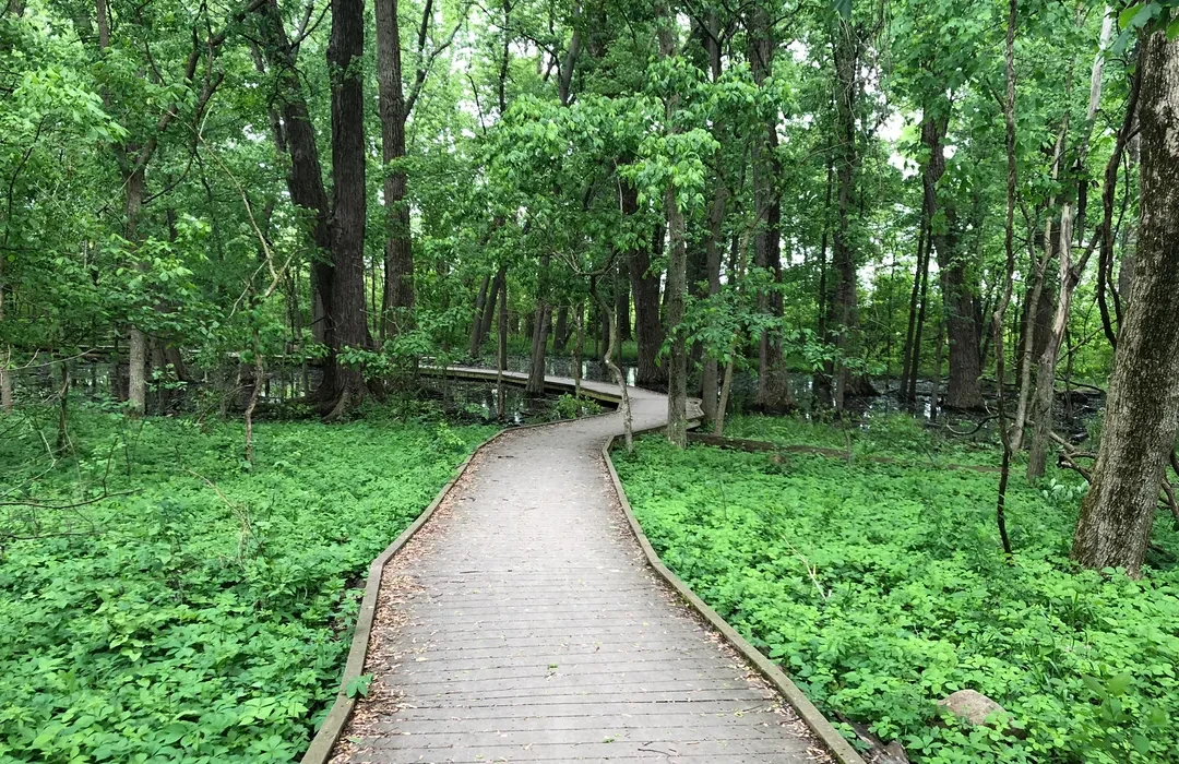 🌿 Discover Peace in the City: Exploring Ritchey Woods Nature Preserve – Prime Edge Car Rentals, Indianapolis, IN