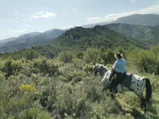 LA EQUITACIÓN NATURAL