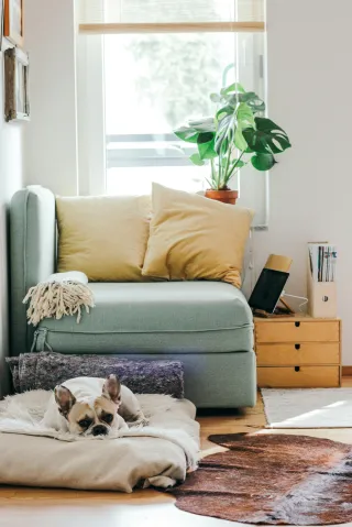 Top Home Features That Increase Property Value