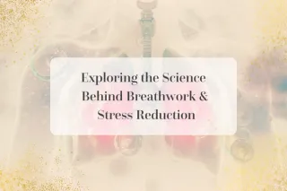  Exploring the Science Behind Breathwork and Stress Reduction