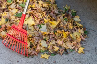 Fall Into Yard Work Without the Back Pain: A Guide to Safe Raking and Mowing