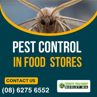 Stored Food Product Pests In Morley