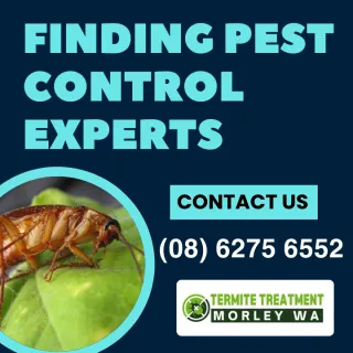 Pest Control Specials