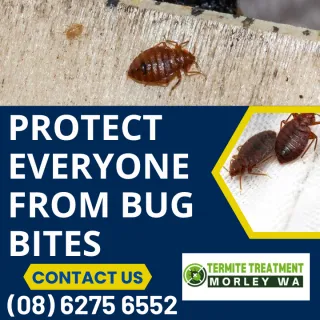 Protecting Your Children from Bug Bites: Essential Tips for a Safe Outdoor Experience