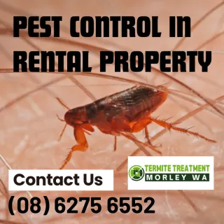 Who is responsible for pest control in a rental property