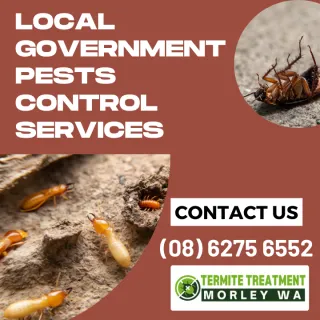Local Government Pest Control Services