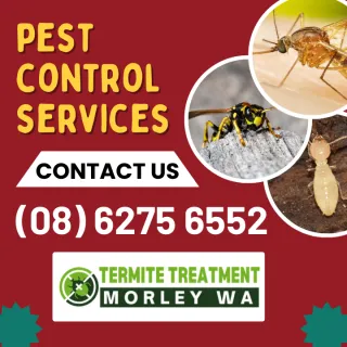 3 ways to solve your pest control problems