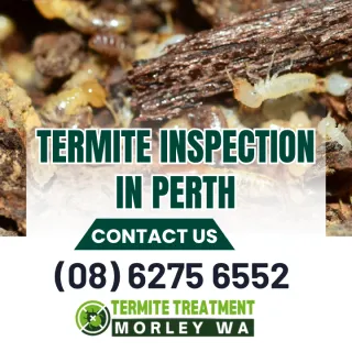 Expert Pest Inspections and Pest Control in Perth