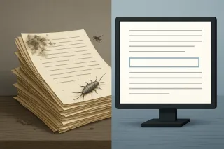 Invisible Threat: Mold, Silverfish, and the Slow Decay of Paper