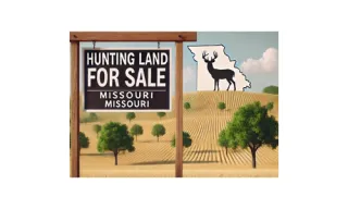 Understanding the Market for Hunting Land in Missouri