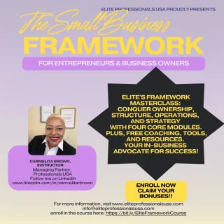 Building a Solid Business Structure with Elite Professionals USA: A Case Study