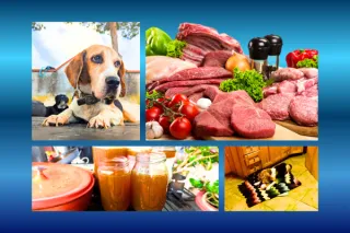  Keto Diet for Dogs with Cancer and Senior Dogs