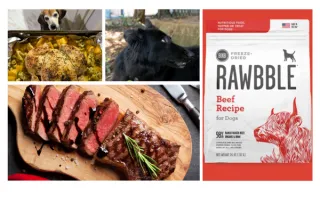 Bixbi Rawbble Dog Food Review (Beef Recipe)