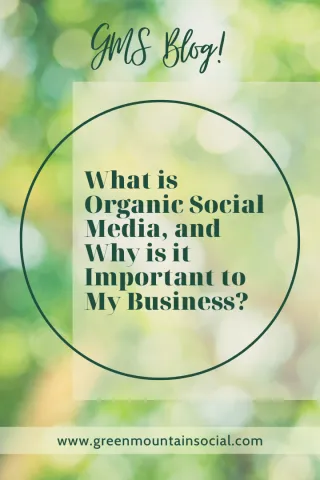 What is Organic Social Media, and Why is it Important to My Business?
