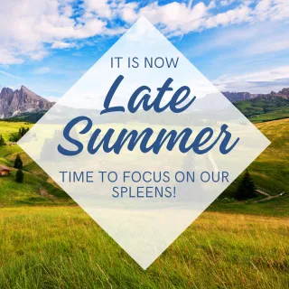 Supporting Your Spleen During Late Summer