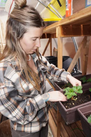 Why You Should Start Your Garden From Seed