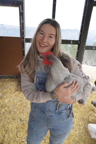 Why You Should Automate Your Chicken Coop (And Save Your Sanity)