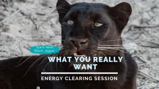 Spirit Animal Jaguar - Focus on What You Want