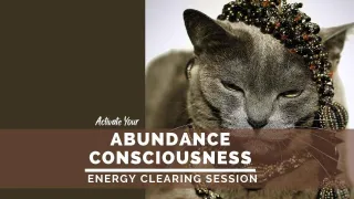 Your Abundance Consciousness