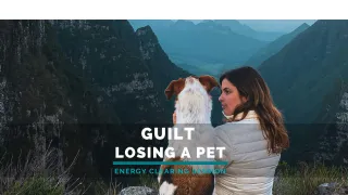 Guilt From Losing Your Pet