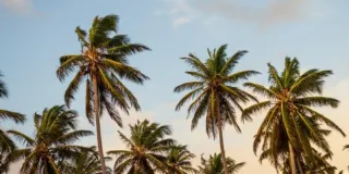 Multifamily Housing Trends in 2023: Shaping the Way We Live