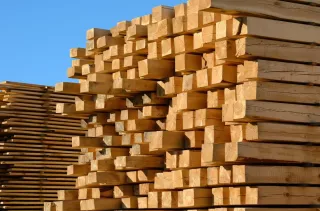 The Changing Landscape of Lumber: Why Your Fence Doesn't Last Like It Used To