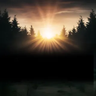 Unexpected Moments of Grief