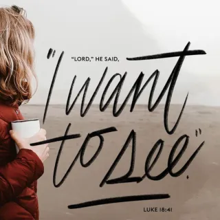 “Master,” he said, “please, I want to see.” (Luke 18:41)