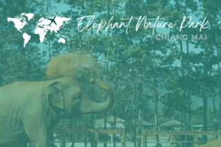 Elephant Nature Park, Chiang Mai