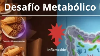 🎄 Cómo las Fiestas de Navidad Afectan tu Microbiota y tu Metabolismo (y cómo protegerte)