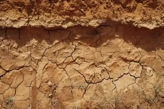 The Science of Preventing Soil Erosion: How Erosion Control Solutions Work