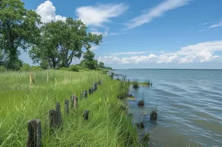 Breaking Ground: 5 Innovative Erosion Control Solutions Revolutionizing the Industry