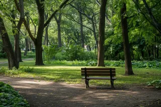 Preserving Natural Spaces: Erosion Control Solutions for Parks and Recreation Areas