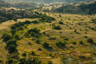 Decision-Making Guide: Selecting the Right Erosion Control Solutions for Your Project